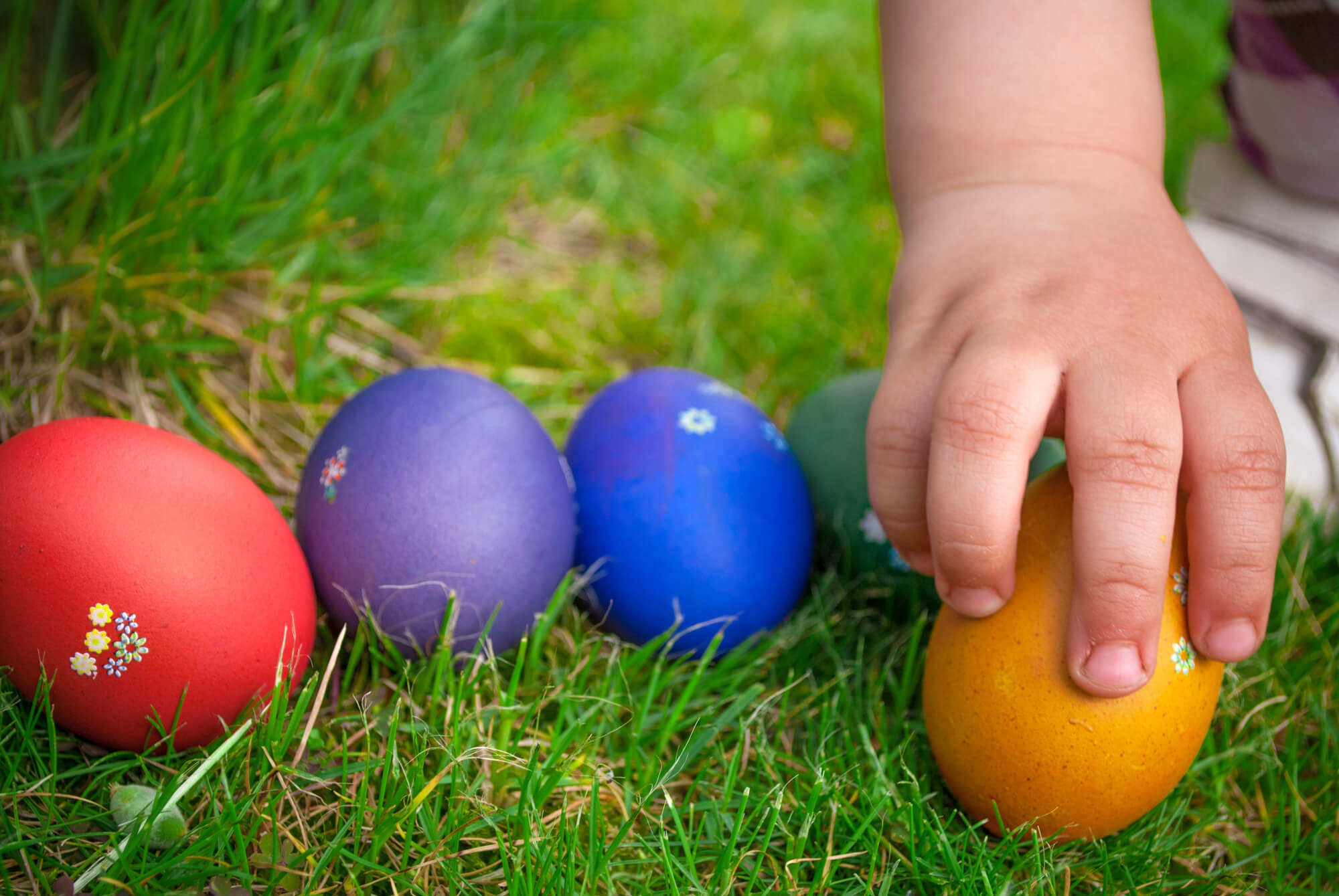 Easter Basket Fillers Eggs