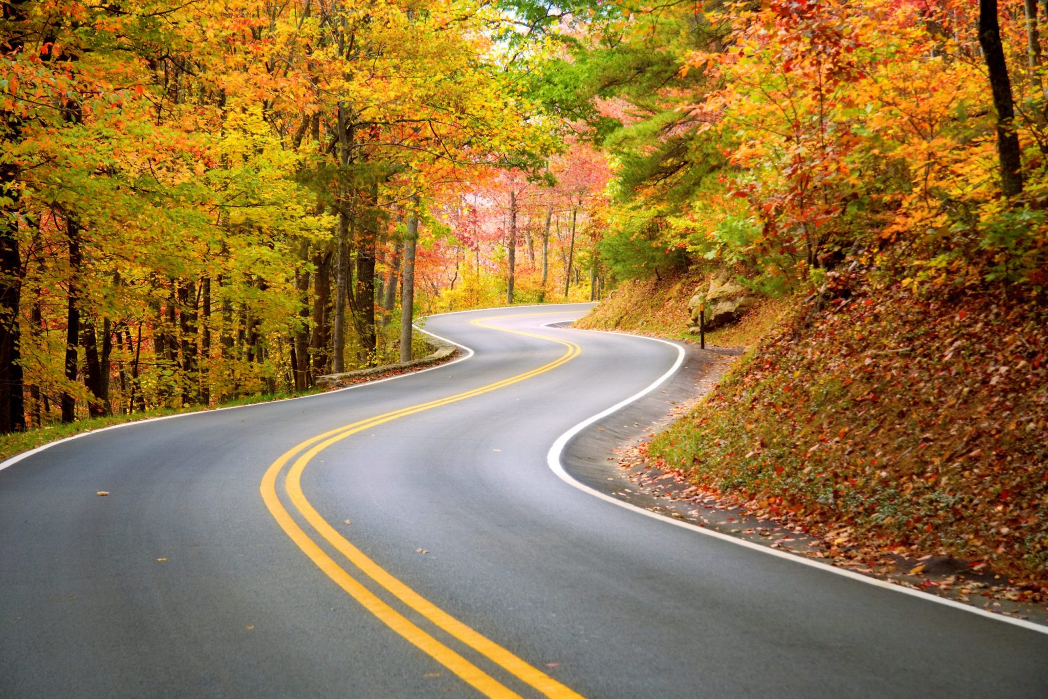 Best Places to See the Fall Leaves Near Indy in 2020 1