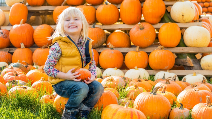 Indiana’s Pumpkin Patches The Best Places to Go in 2020